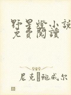 野星灯小说全文免费阅读