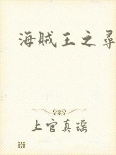 海贼王之寻亲记封面