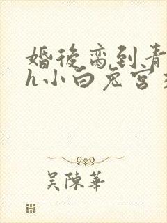 婚后脔到青梅哭h小白兔宫交h