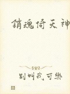销魂倚天神雕封面
