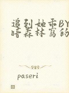 追到她乖BY黑暗森林写的小说