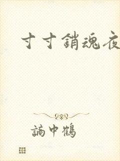 寸寸销魂夜春光