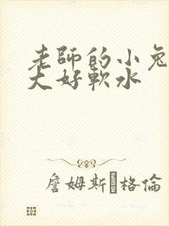 老师的小兔子好大好软水
