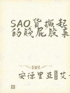 SAO货撅起你的贱屁股来