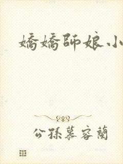 娇娇师娘小说封面