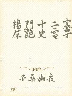 杨门十二寡妇肉床艳史电子书