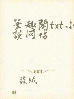 笔趣阁txt小说网站