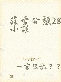 苏雪公憩28篇小说