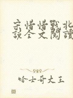 宋惜惜战北望小说全文阅读