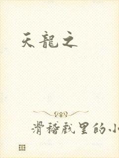天龙之封面