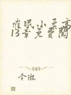 催眠小柔高达第13章免费阅读