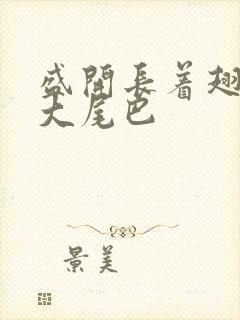 盛开长着翅膀的大尾巴