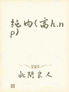 纯肉(高h.np)