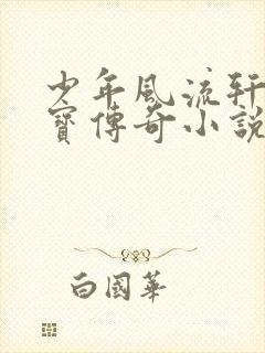 少年风流轩辕大宝传奇小说