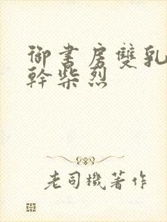 御书房双乳晃动干柴烈封面