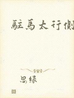 驻马太行侧封面