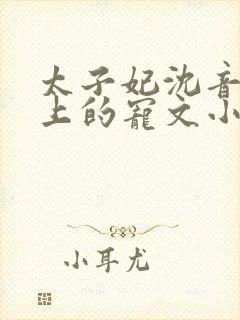 太子妃沈音和皇上的宠文小说