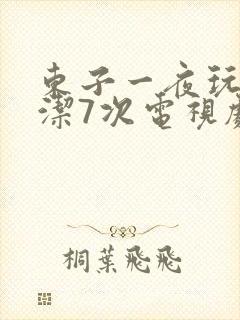 东子一夜玩弄白洁7次电视剧封面