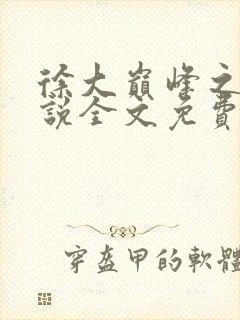 徐大巅峰之路小说全文免费阅读