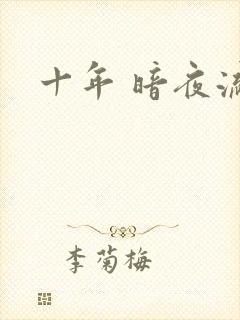 十年 暗夜流光封面