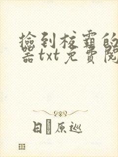 捡到校霸的遥控器txt免费阅读