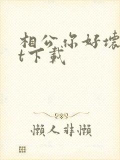 相公你好坏txt下载