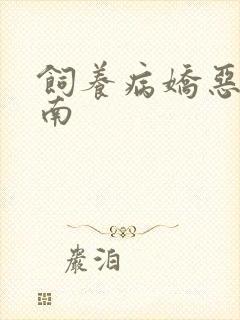 饲养病娇恶龙指南