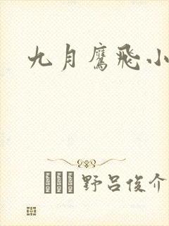 九月鹰飞小说