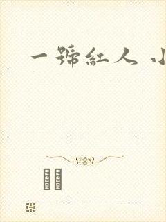 一号红人 小说