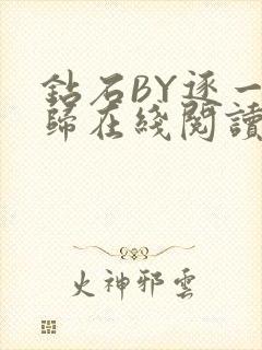 钻石BY逐一而归在线阅读