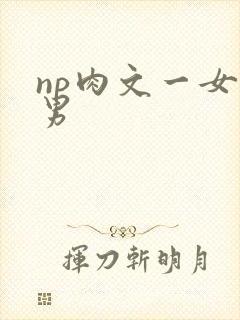 np肉文一女多男