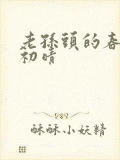 老孙头的春天林初晴封面