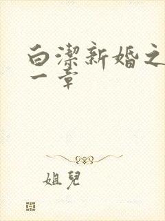 白洁新婚之夜第一章封面