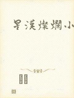 星汉灿烂小说