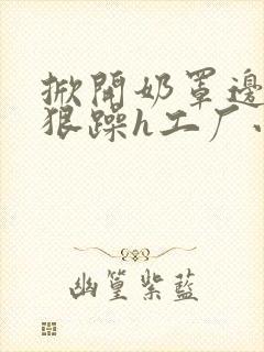 掀开奶罩边躁狠狠躁h工厂小说封面