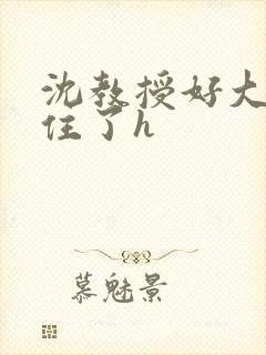 沈教授好大含不住了h