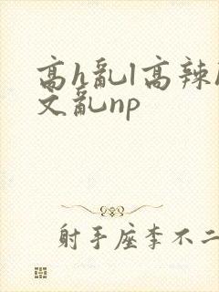 高h乱l高辣h文乱np