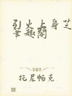 引火上身芝麻糖笔趣阁封面