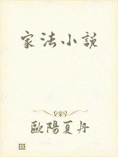 家法小说封面