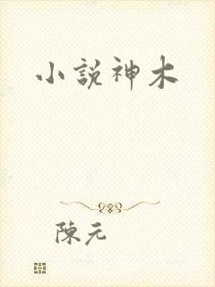 小说神木封面