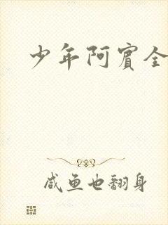 少年阿宾全集