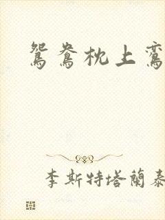 鸳鸯枕上鸾凤颠封面