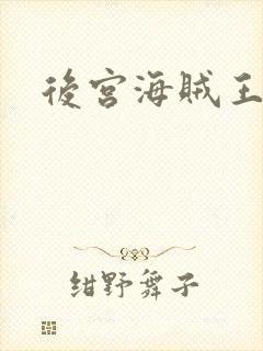 后宫海贼王