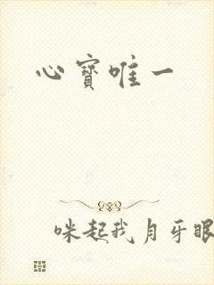 心宝唯一封面