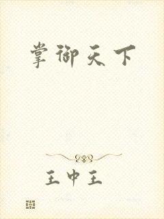 掌御天下封面