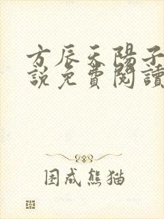 方辰天阳子的小说免费阅读封面