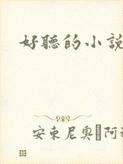 好听的小说名字封面