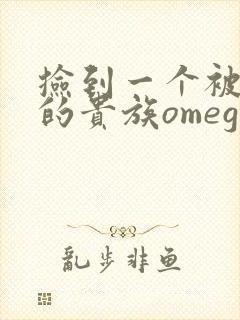 捡到一个被抹布的贵族omega