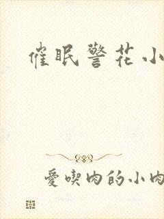 催眠警花小说