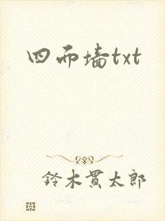 四面墙txt